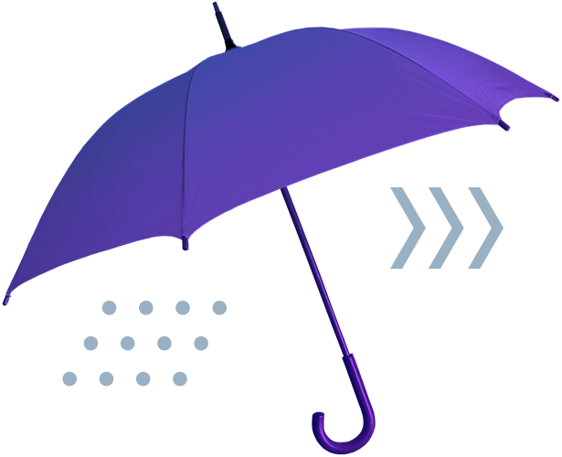 servcies-FranchiseReputationReview-615×500 umbrella icon